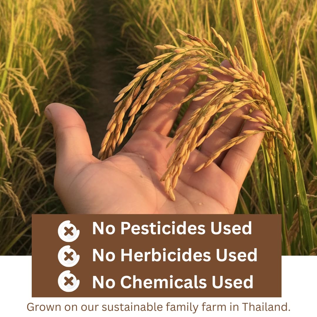 Organic Brown Jasmine Rice from Thailand - Whole Grain Vegan Natural Healthy Superfood Gluten-free - 4 LB