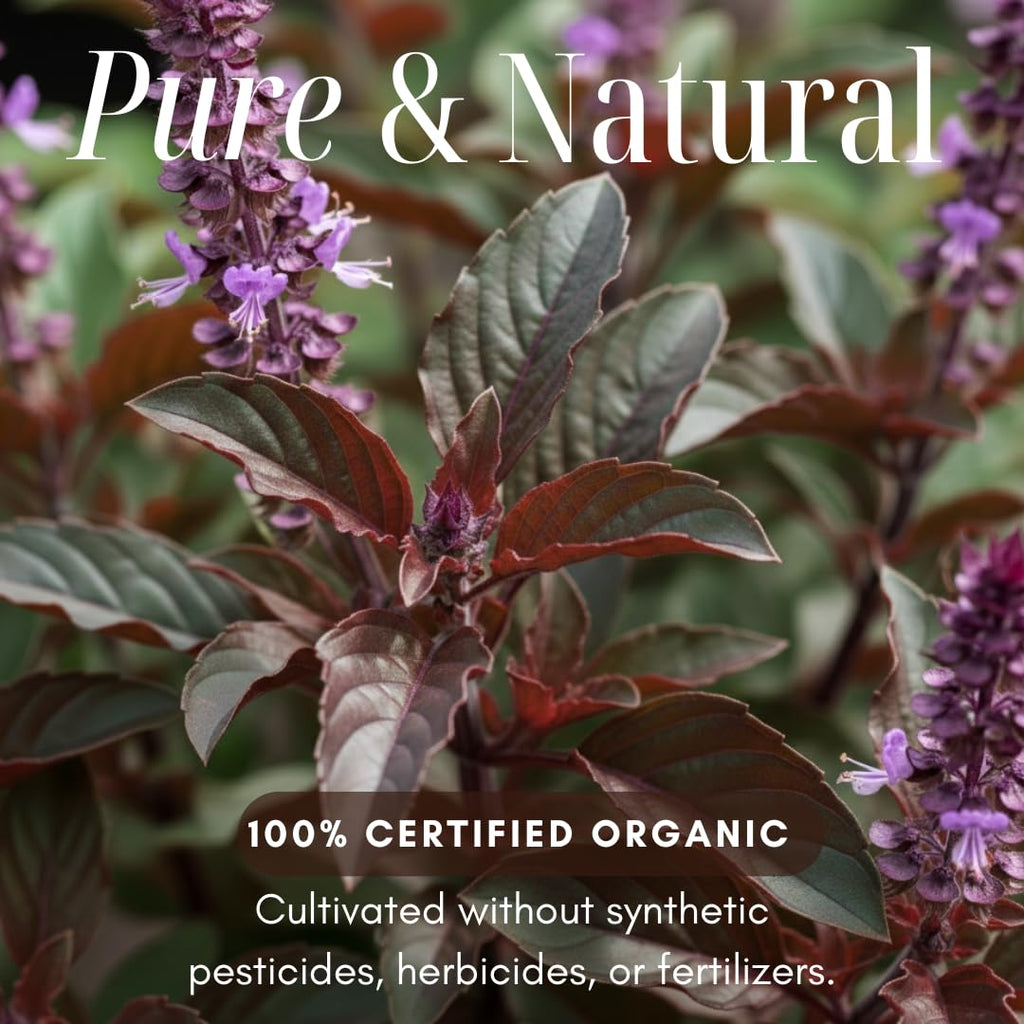 Organic Dried Thai Holy Basil Leaves 1 OZ - Hot & Aromatic - Essential Asian Cooking Herb & Spice - Perfect for Flavorful Soups, Stir-fries