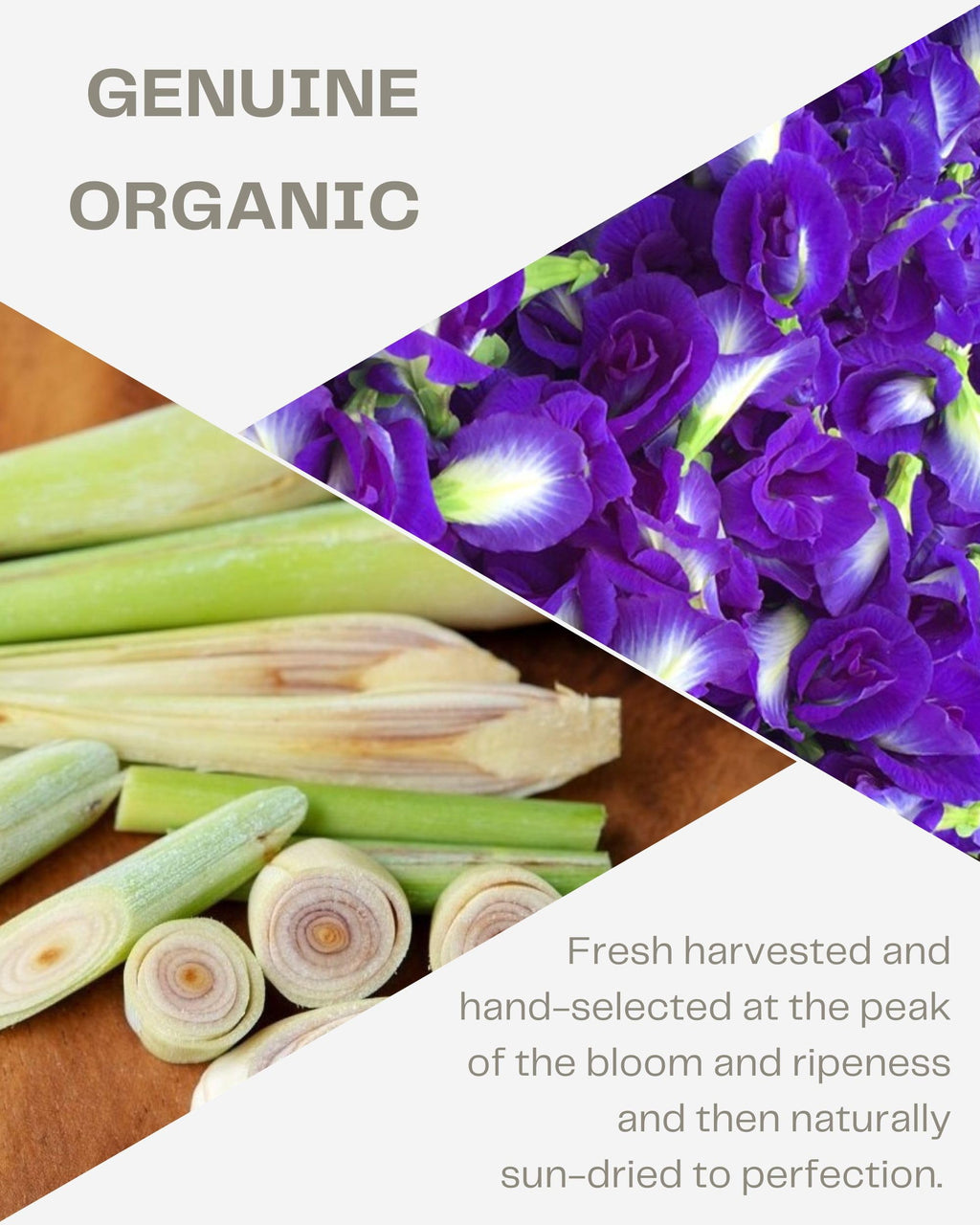 Organic Butterfly Pea Flower and Lemongrass Tea Bags - Citrusy Blue Superfood Herbal Drink - Caffeine Free - 40 Natural Corn Fiber Sachets