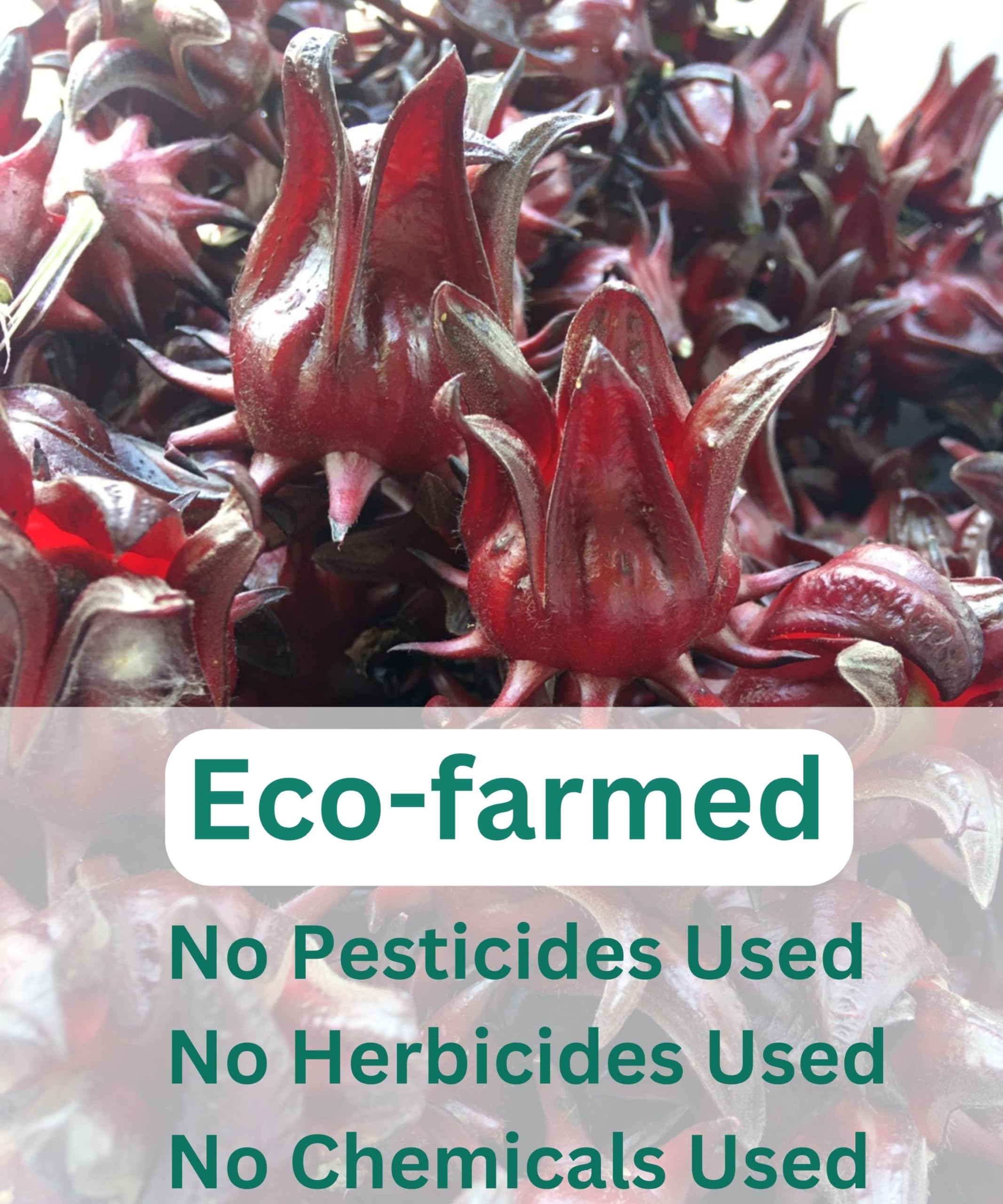 USDA Certified Organic Hibiscus Whole Flowers - Sun Dried Edible Petals for Herbal Tea Drinks - Natural Purple Thai Roselle Herb