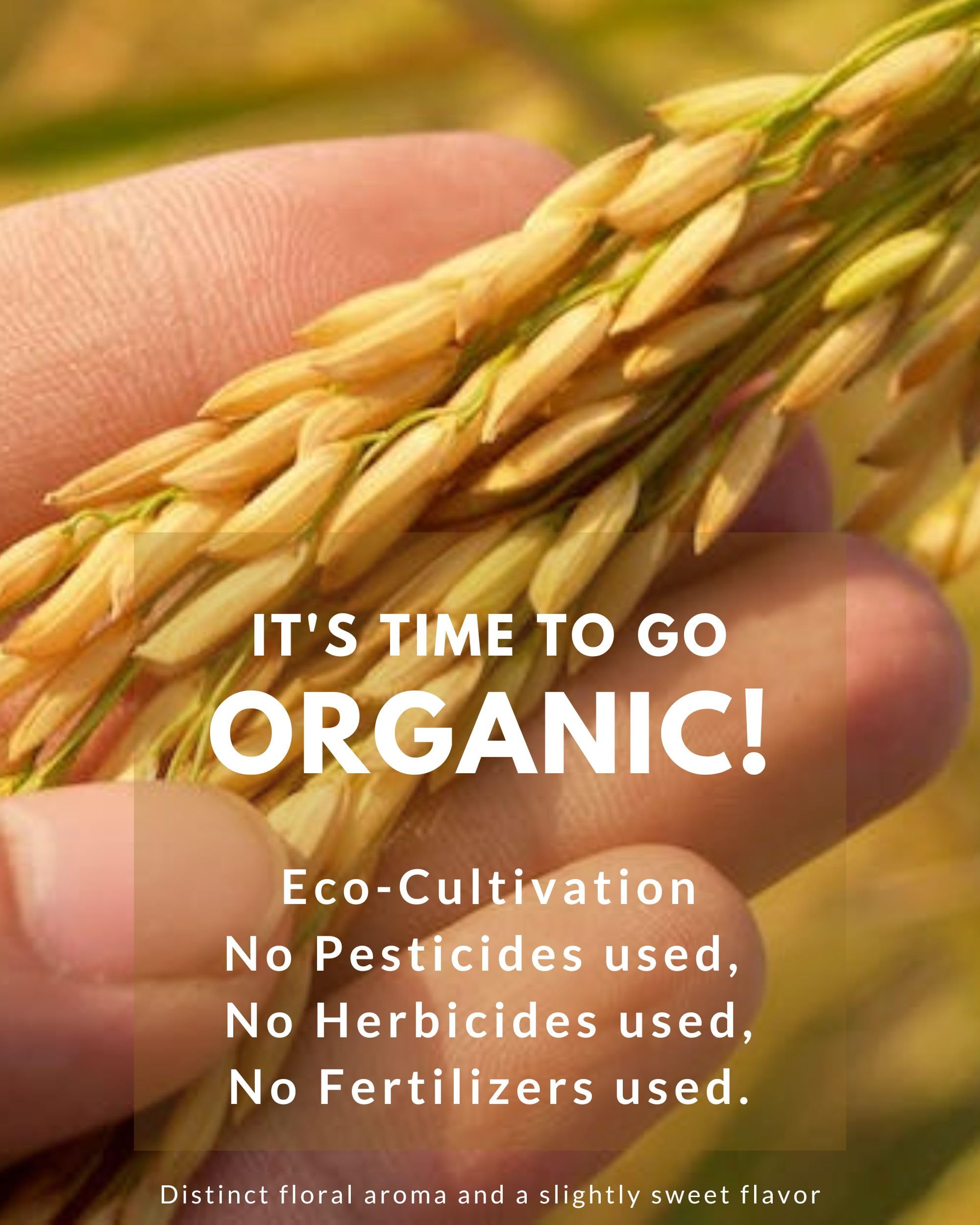 Organic Mixed Rice - 3 Kinds of Thai Rice Medley: Brown Jasmine, Black Jasmine Riceberry, and Red Jasmine - High Fiber Gluten Free Superfood 2 LB