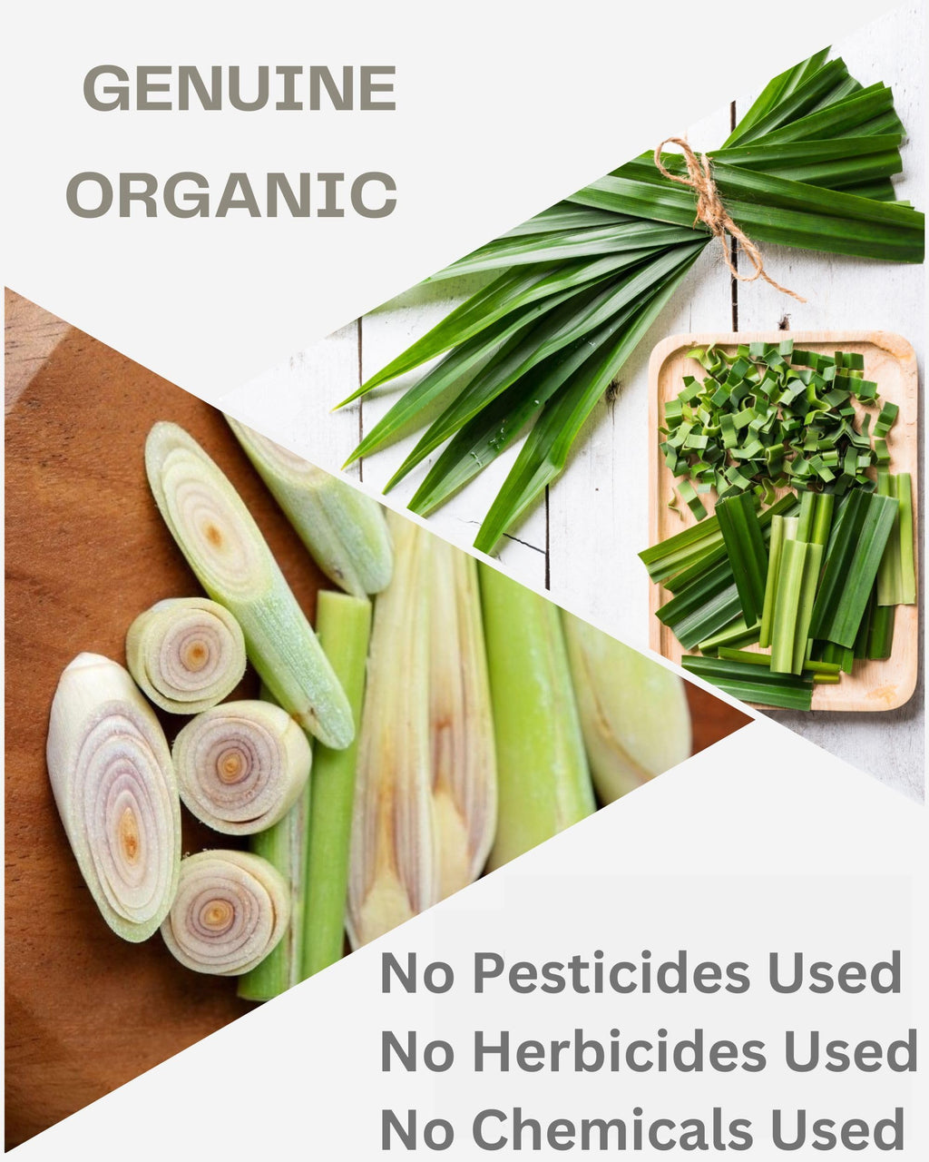 Lemongrass Pandan Leaf Tea Bags - Relaxing Thai Herbal Gourmet Organic Tea - Caffeine Free - 40 Tea Bags