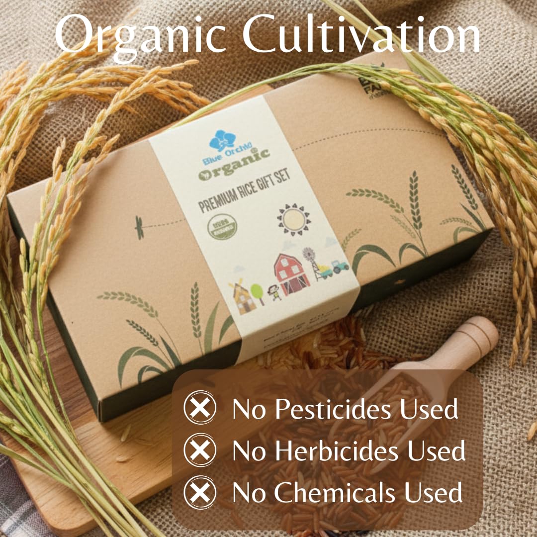Certified Organic Thai Jasmine Rice Gift Set - Medley Rice 4 Kinds - Brown, Red, Purple Riceberry, Mixed Rice - 2 LB Eco Gift Set