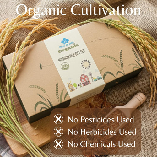 Certified Organic Thai Jasmine Rice Gift Set - Medley Rice 4 Kinds - Brown, Red, Purple Riceberry, Mixed Rice - 2 LB Eco Gift Set