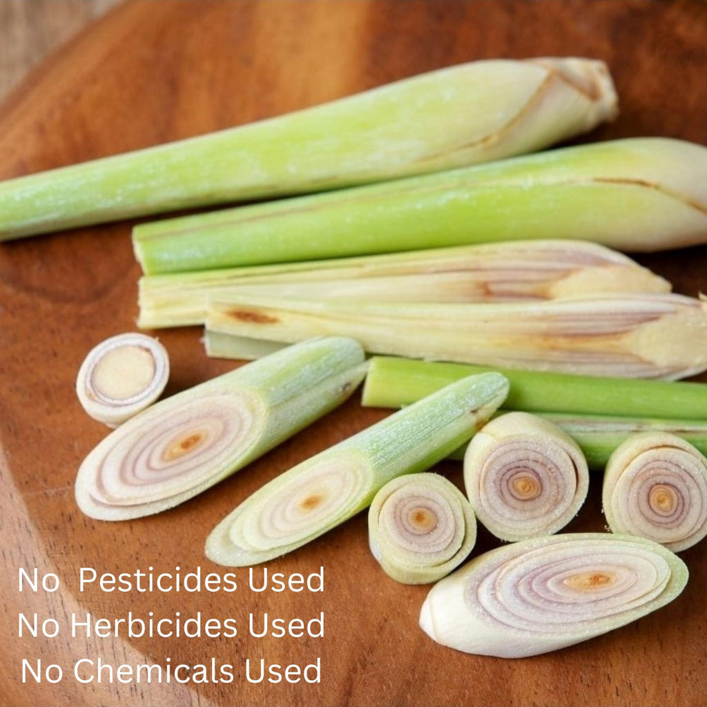 Organic Lemongrass Loose Leaf | For Healthy Herbal Tea and Thai Asian Cuisine | Gluten Free | Caffeine Free