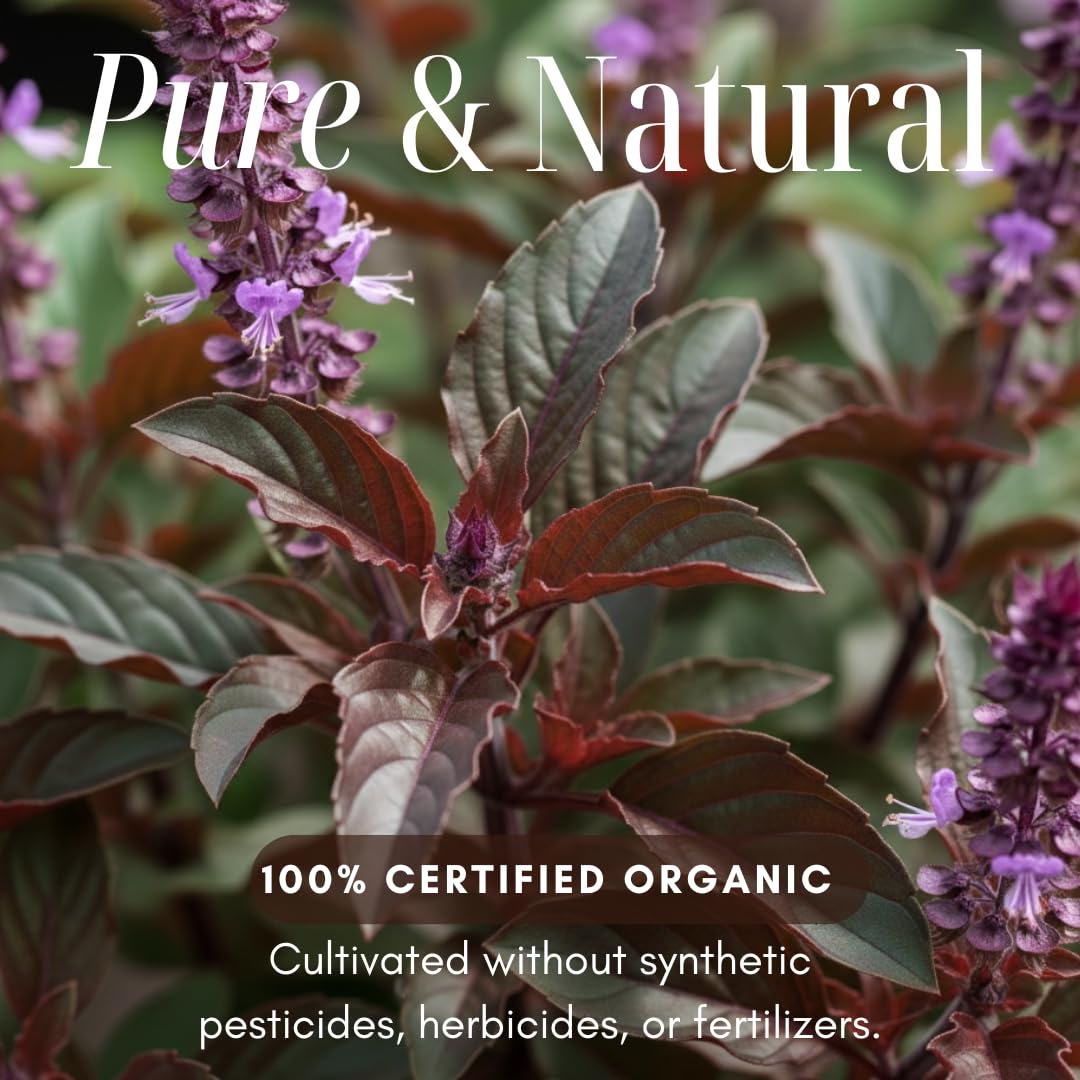 Organic Thai Holy Basil Powder 8 OZ - Premium Ground Hot Spice - Culinary Seasoning for Soups, Stir-fries, and Asian Cuisine