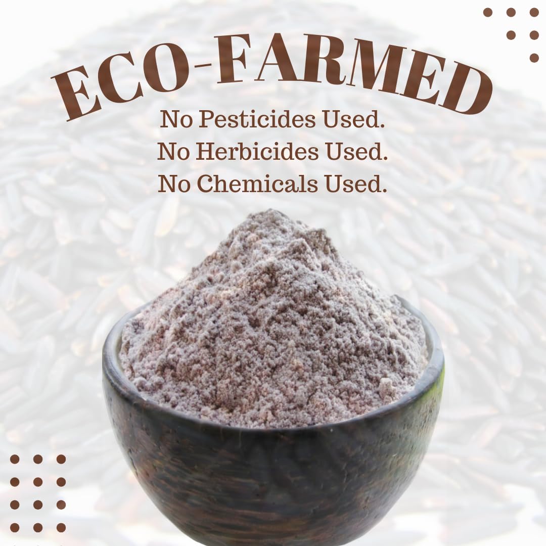 Organic Riceberry Flour - Superfine Gluten Free for Baking - 100% Whole Grain Thai Rice Flour - 2 LB