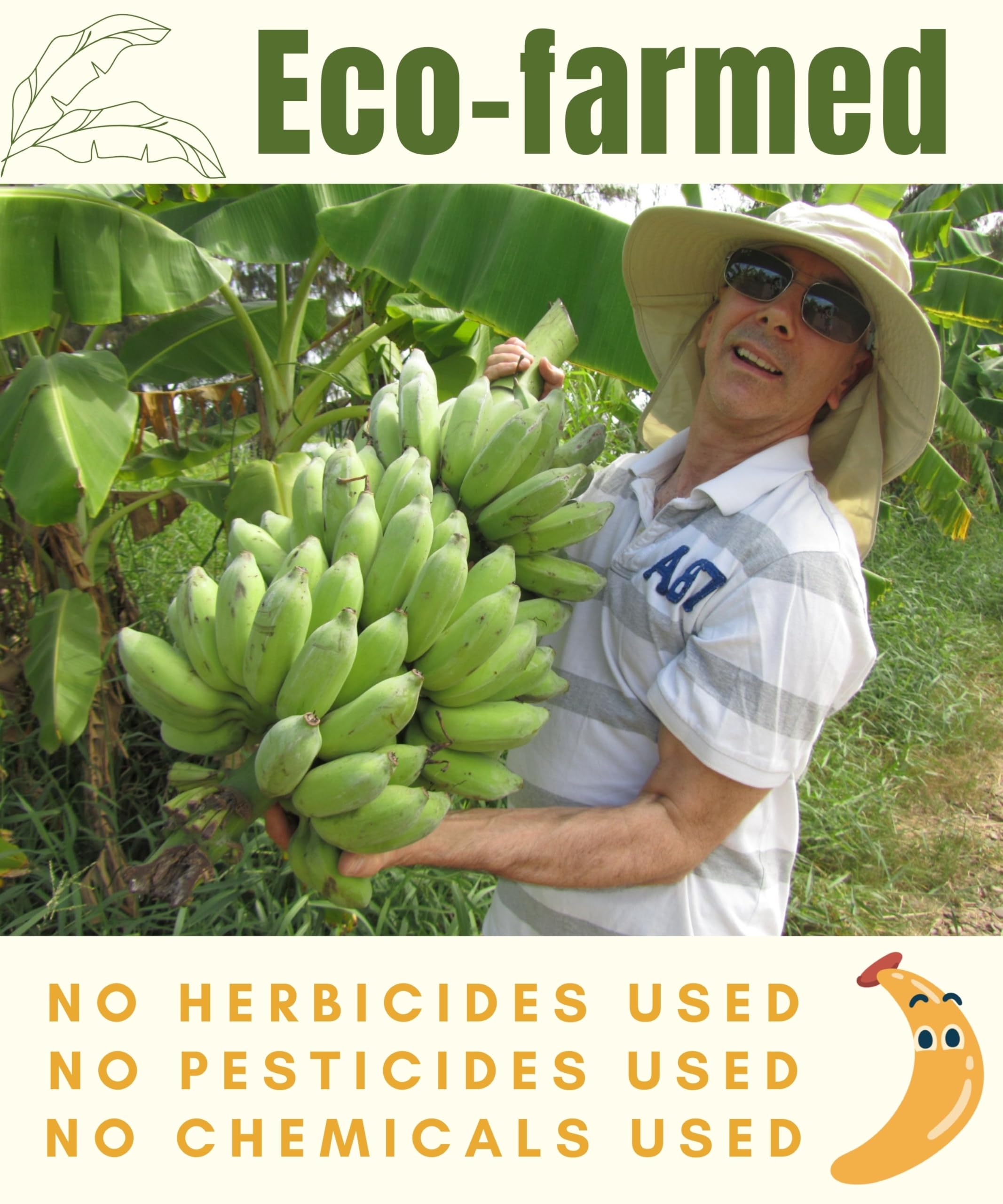 Organic Banana Peel Tea - Relaxation Thai Herbal Drink - From Sun Dried Ripe Banana Peels - 40 Count Tea Bags - Caffeine Free