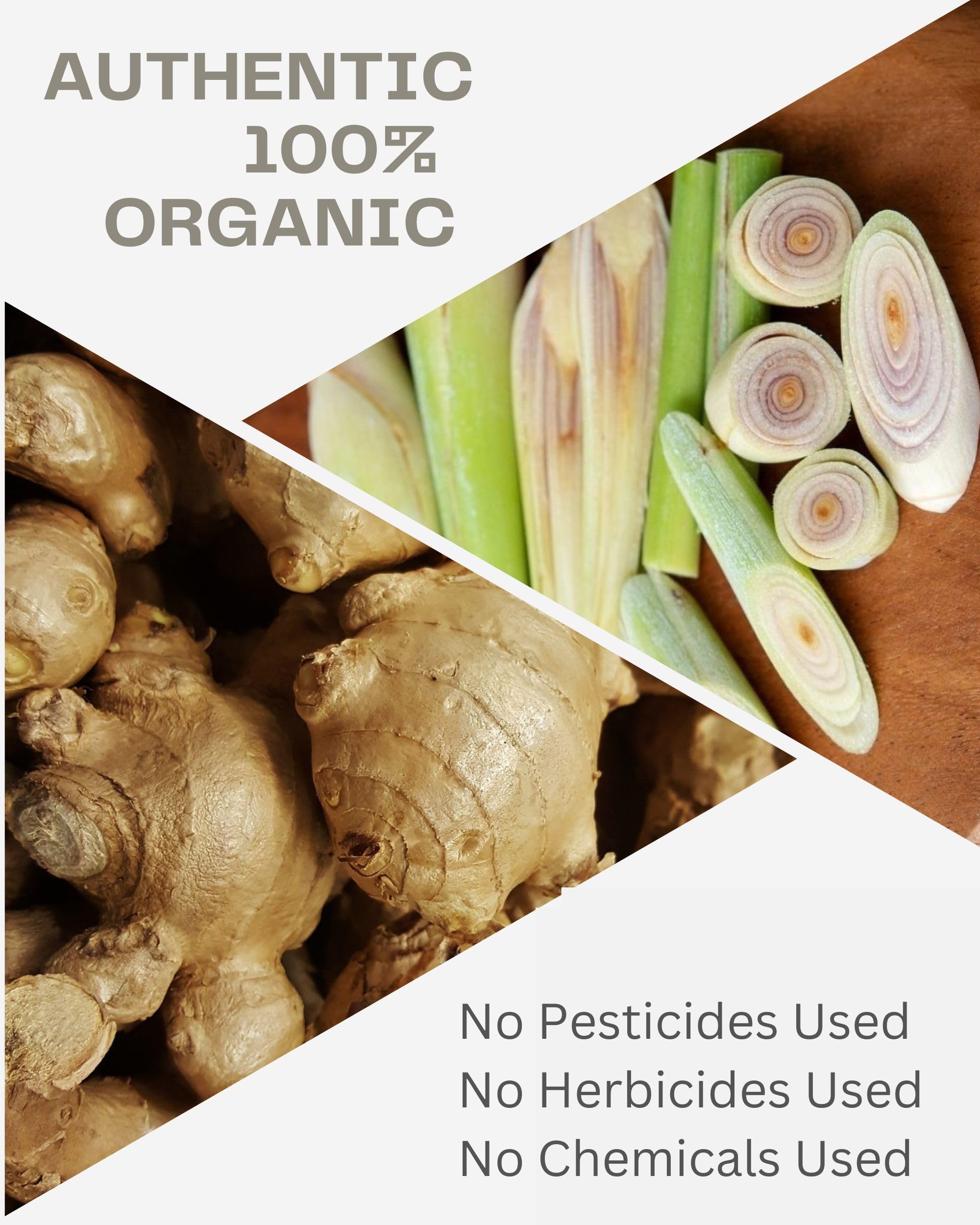 Organic Ginger Root and Lemongrass Tea Bags - Zesty Superfood Herbal Drink - Caffeine Free - 40 Natural Corn Fiber Sachets