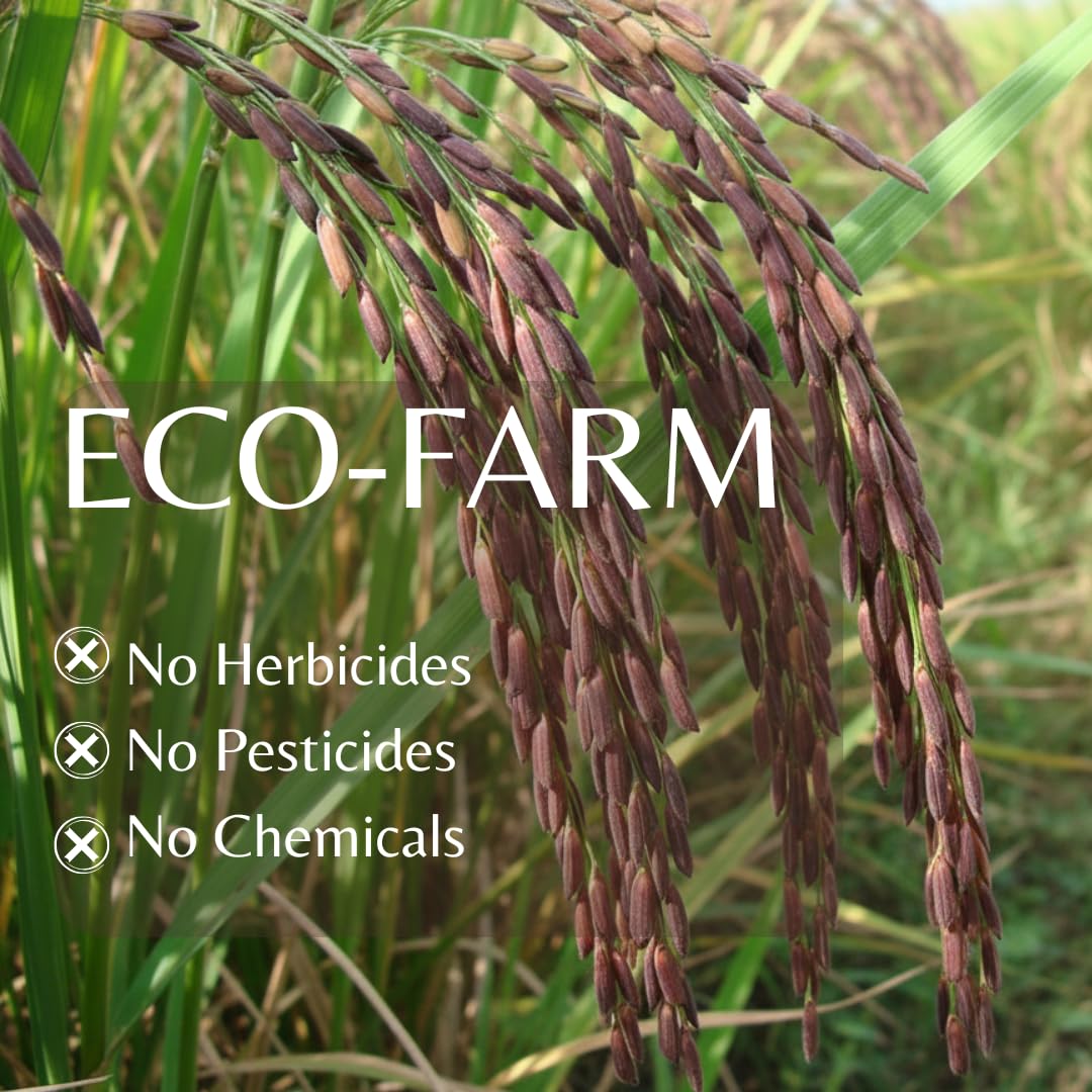 Organic Riceberry Rice Value Pack - Purple Thai Black Jasmine Rice - USDA Certified - Premium Freshness - Small Lot Harvest Direct from our Farm to your Table - 8 LB