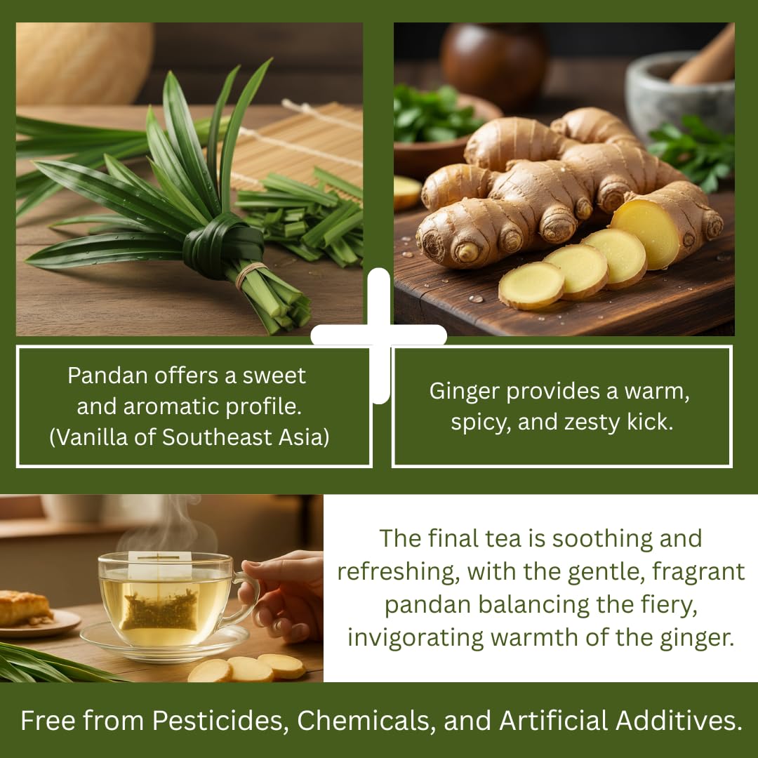 Organic Pandan Leaf and Ginger Root Tea Bags - Zesty Superfood Herbal Drink - 20 Natural Corn Fiber Sachets