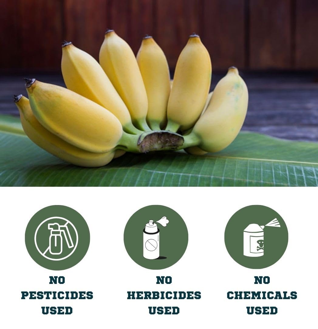 Organic Banana Peel Powder 16 OZ- All Natural One Ingredient- Value Pack