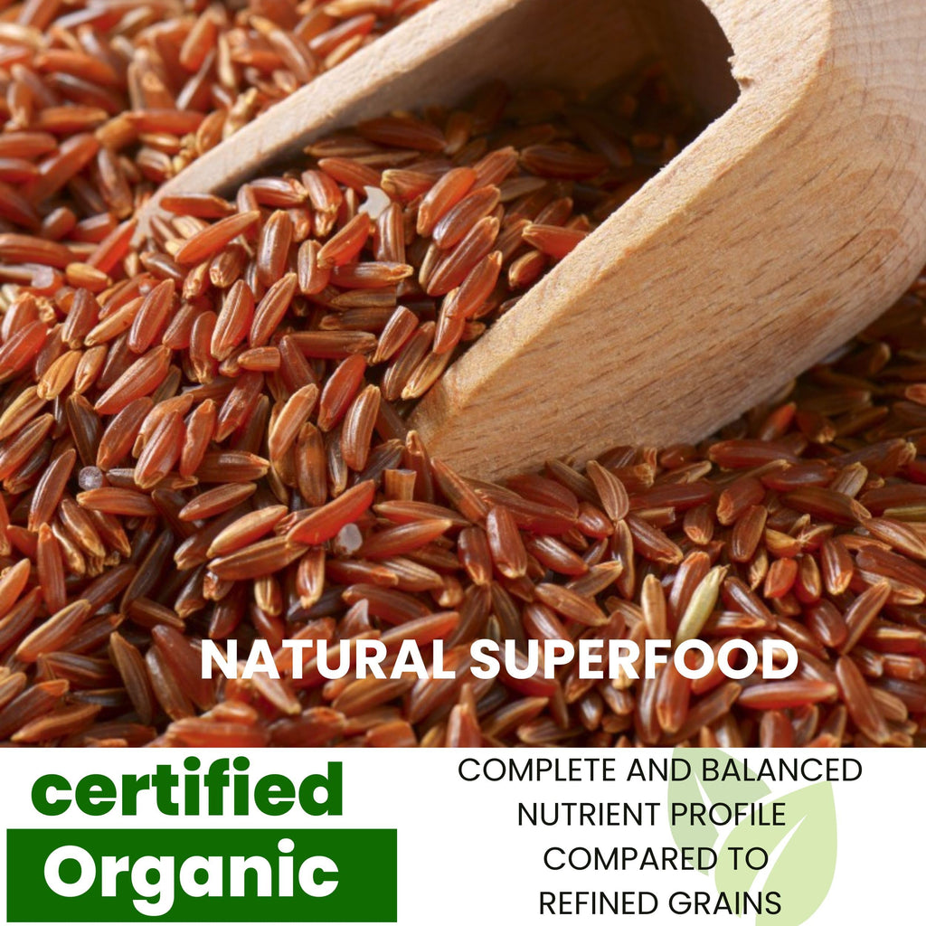 Organic Thai Red Jasmine Rice - Gluten Free - Preservative Free - Small Lot Farmed from Thailand - 2 LB