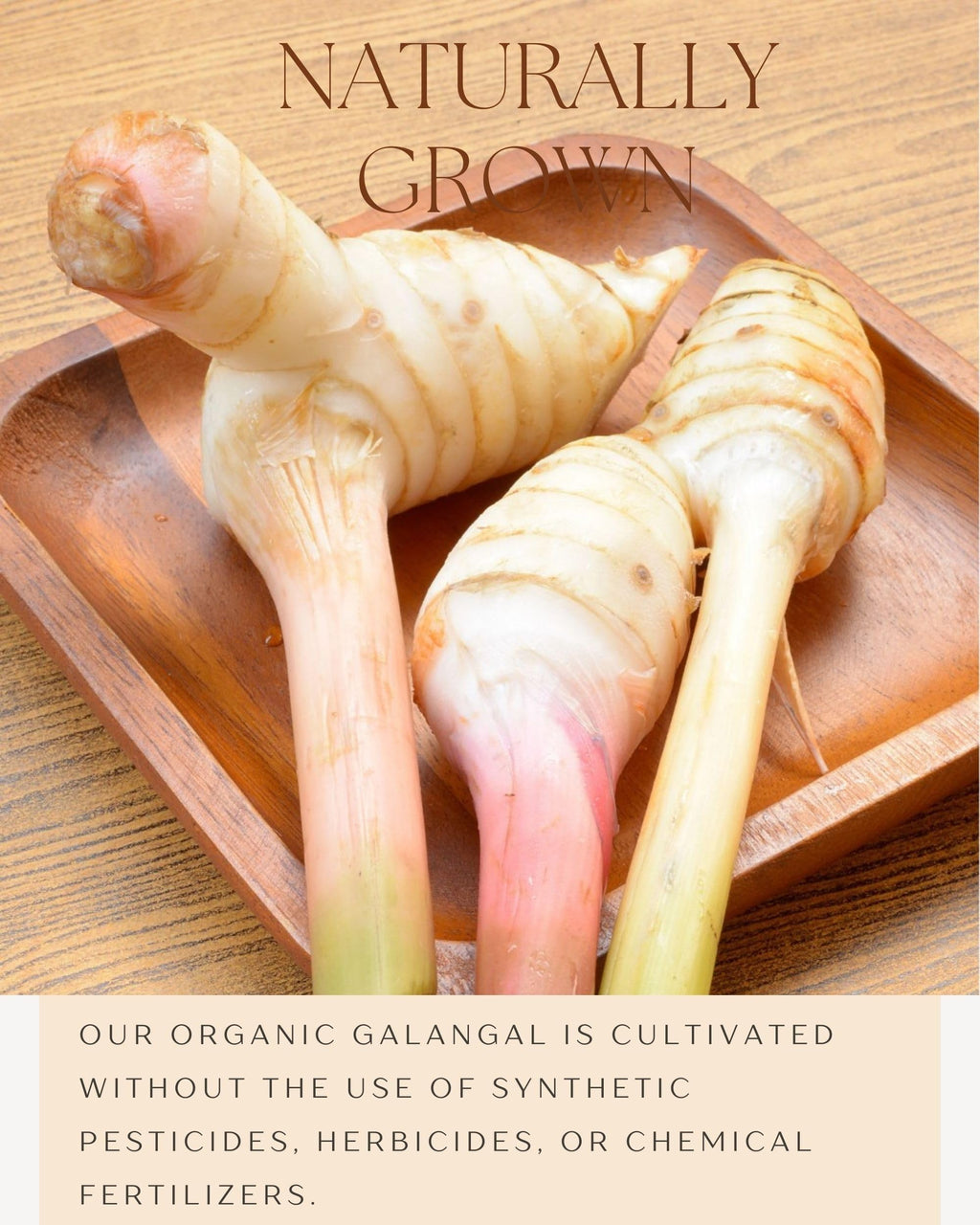 Organic Galangal Powder - Galanga Spice Seasoning in Asian Cooking - for Thai, Indonesian, and Malaysian Cuisine 16 OZ